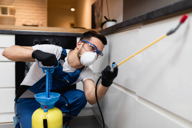 Best Pest Control for Homes  in Northampton, PA
