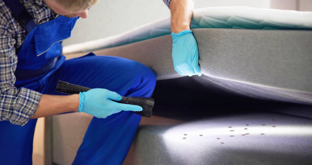 Best Best Pest Control Companies  in Northampton, PA