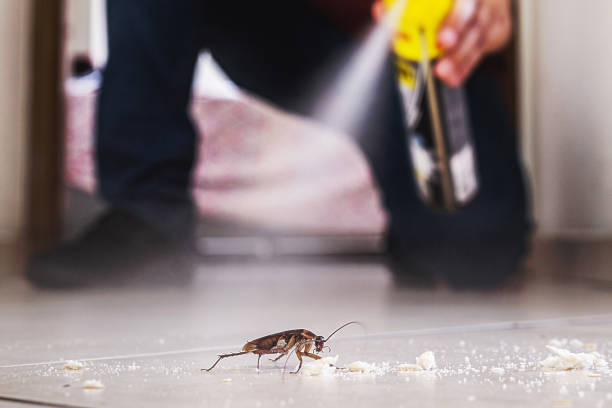 Best Commercial Pest Control Services  in Northampton, PA